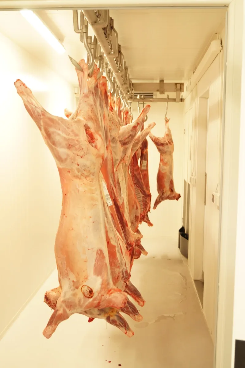 Photo by André Bjørkhaug raw meat on white table