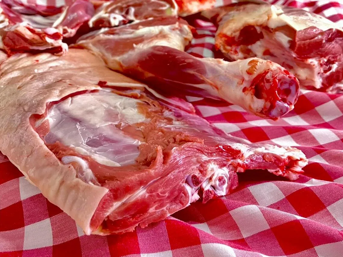 carnes juande carnes juande